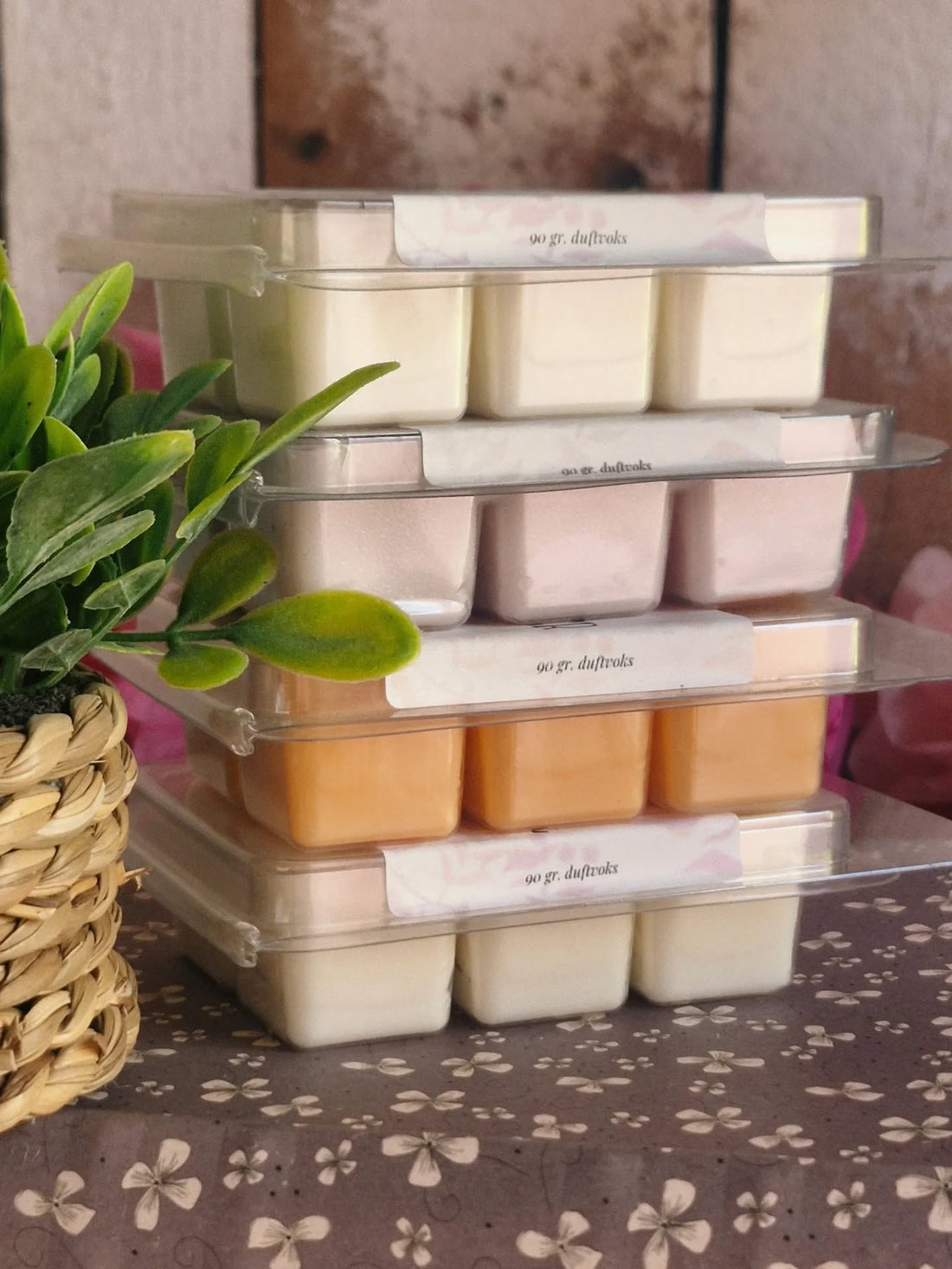 Meet the Scents – A Guide to Our Signature Collection